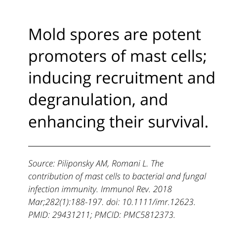 Mold myth mast cells