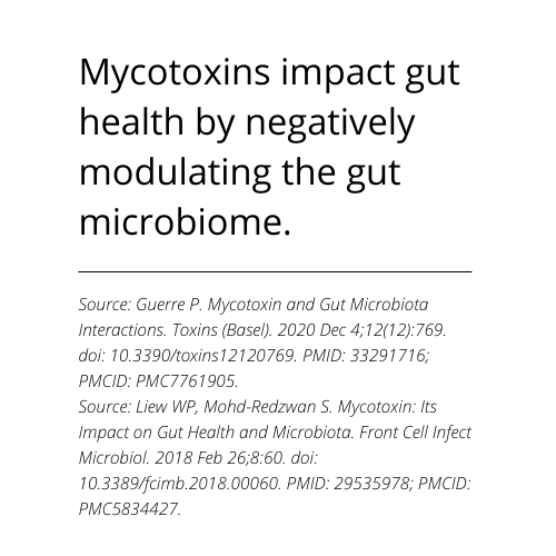Mold myth microbiome
