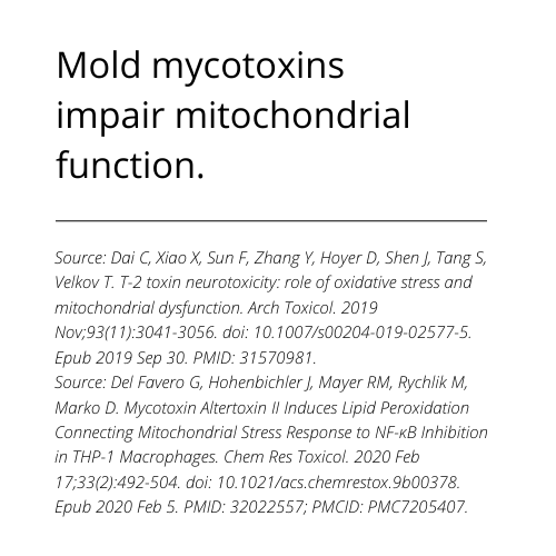 Mold myth mitochondria
