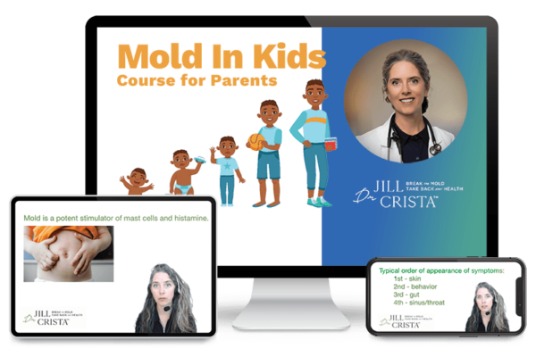 Kids In Mold cover art