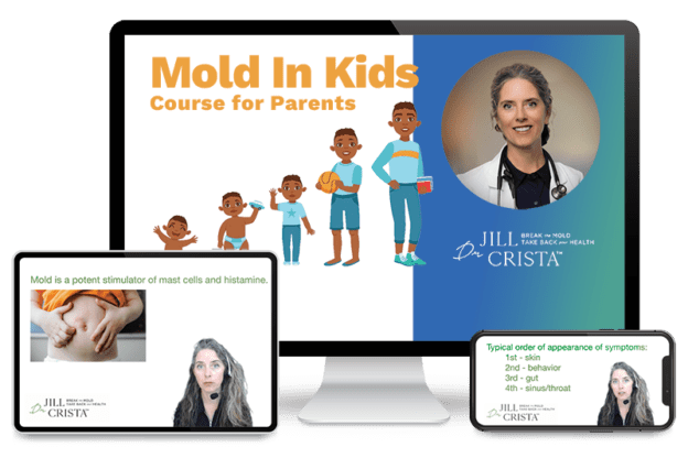 Kids In Mold cover art