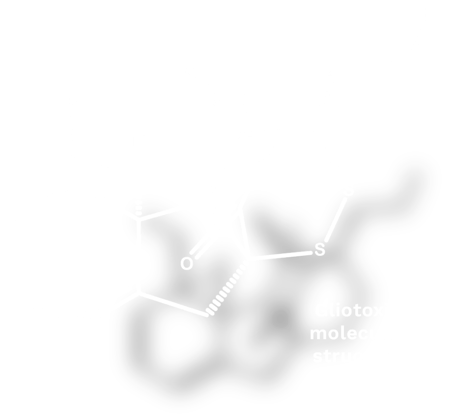 Gliotoxin Molecular Structure