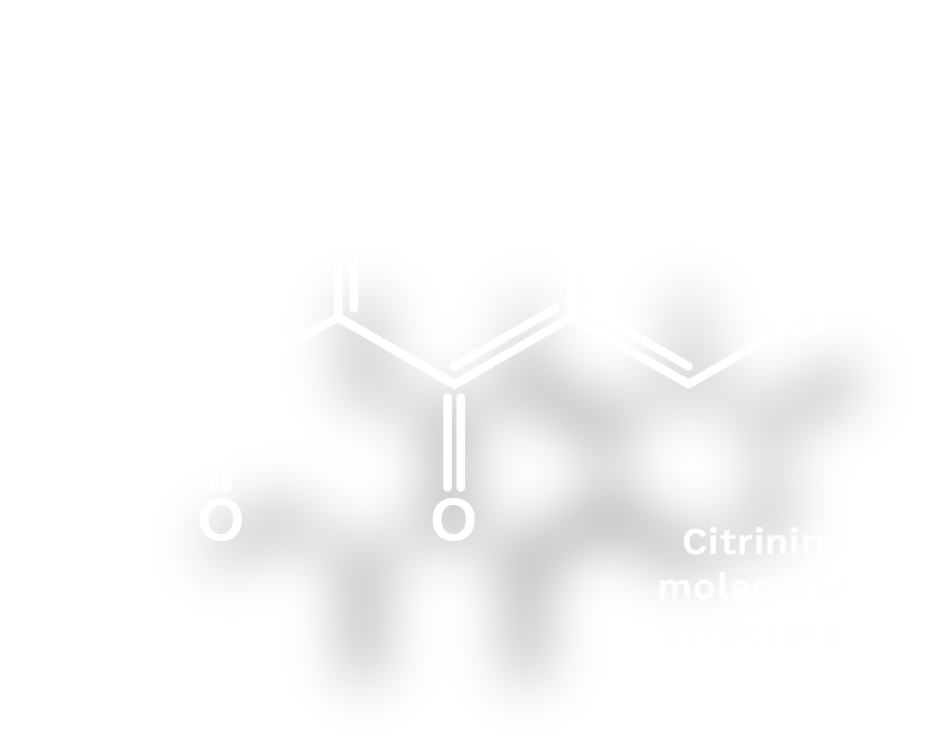 Citrinin molecular structure