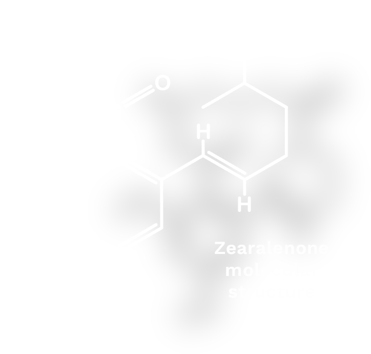 Zearalenone molecular structure
