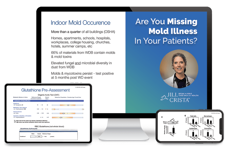 Screen grab of Are You Missing Mold Illness In Your Patients? video course