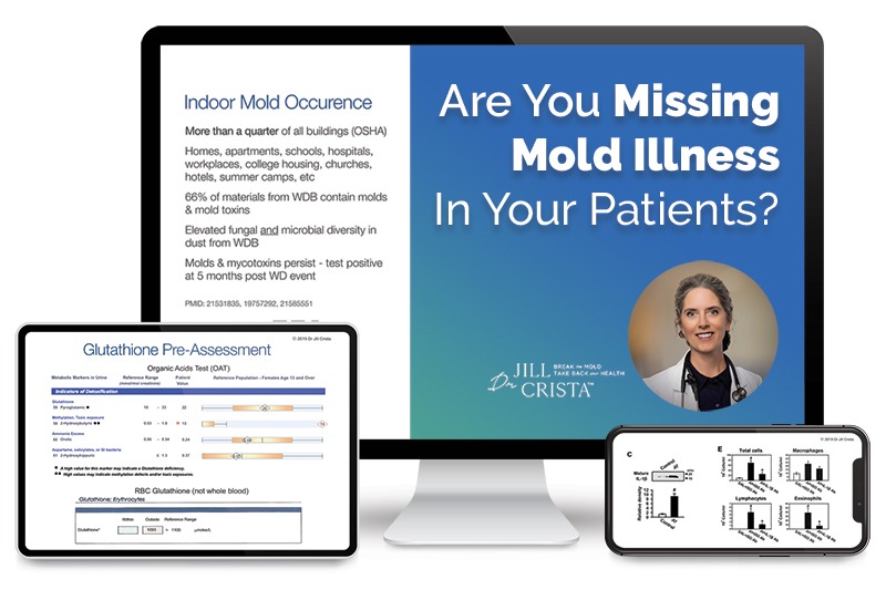 Screen grab of Are You Missing Mold Illness In Your Patients? video course