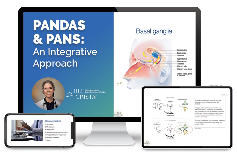 Screen grab of PANDAS & PANS: An Integrative Approach