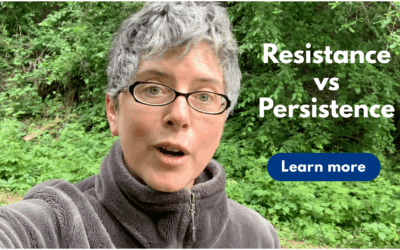 The Difference Between Fungal Resistance And Fungal Persistence