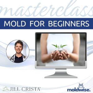 Mold for Beginners LIVE SEPTEMBER 16